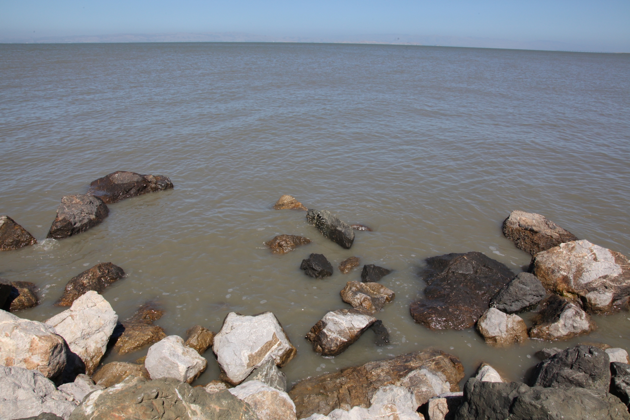 Beside the Tide